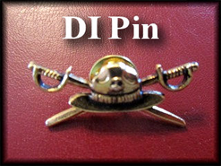 DI Pin